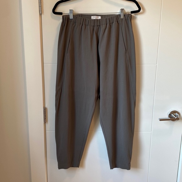Aritzia Pants - Aritzia Babaton Dexter Pants